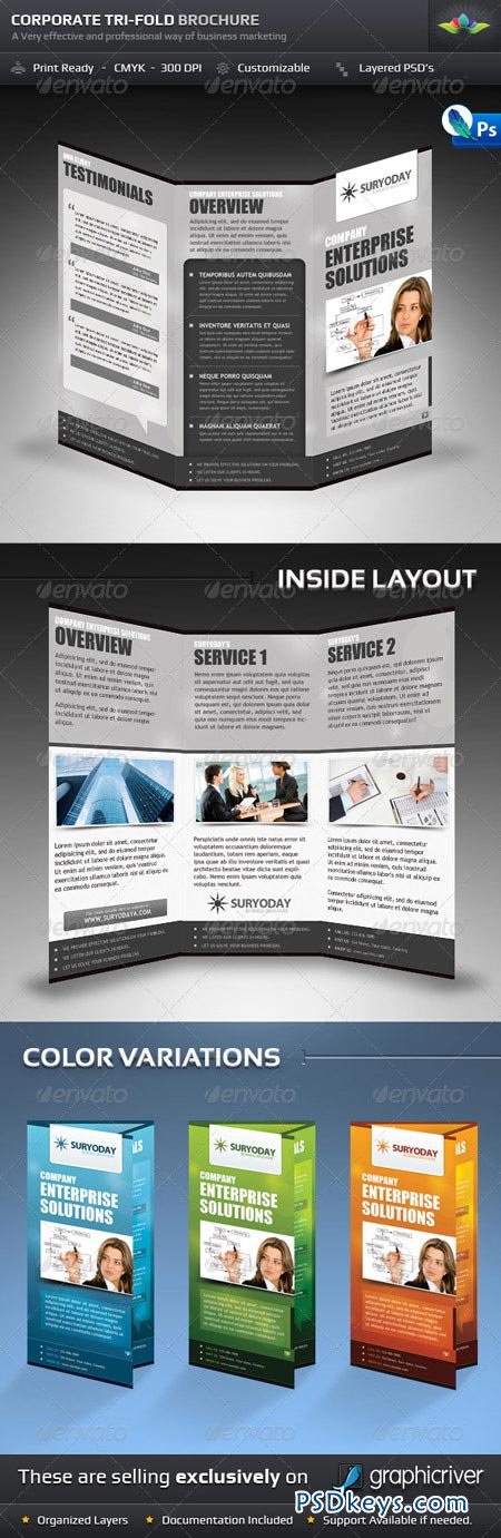 Corporate Tri-Fold Brochure 238229