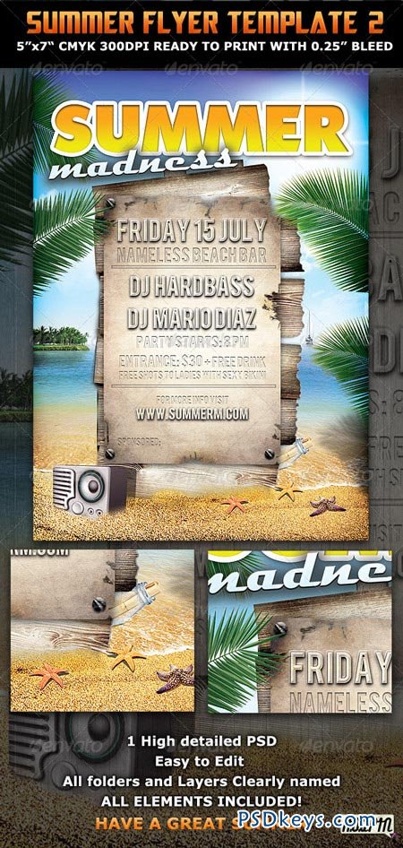 Summer Madness Party Flyer Template 309504