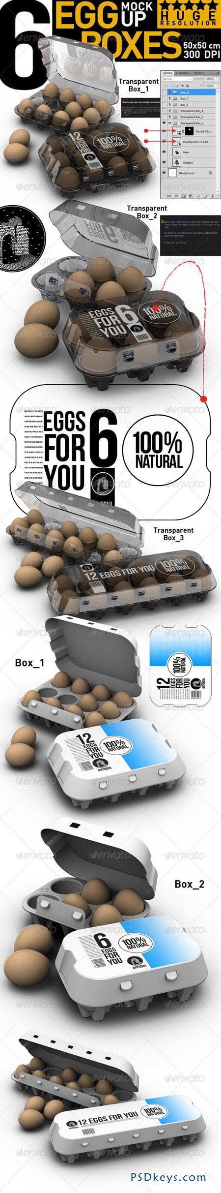 Egg Boxes 3207934