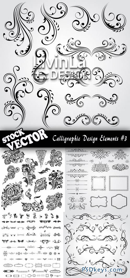 Stock Vector - Calligraphic Design Elements #3
