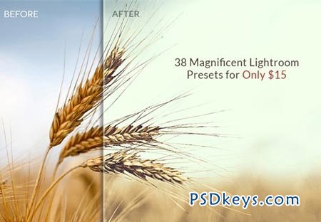 38 Magnificent Lightroom Presets