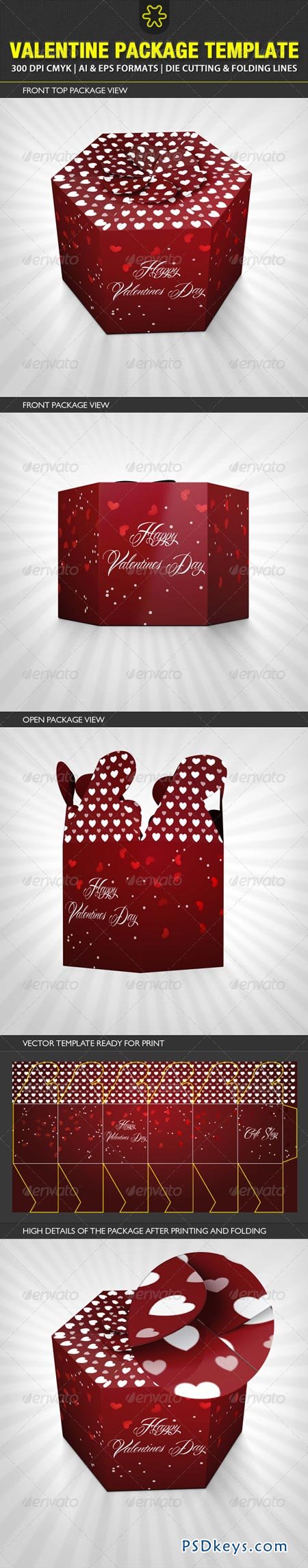 Valentine Package Template 2598527