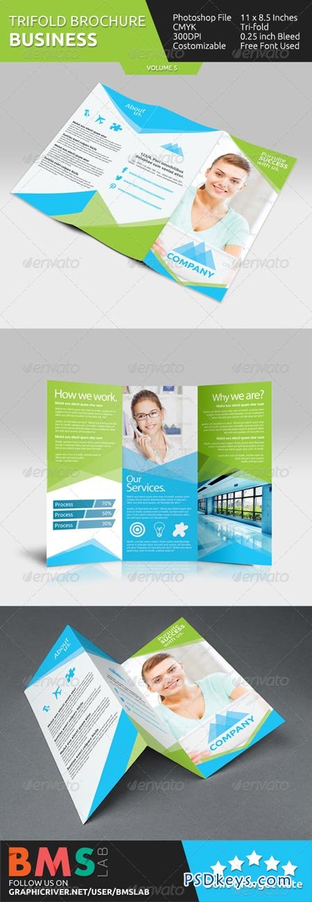 Business Tri-fold Brochure - V5 6958147
