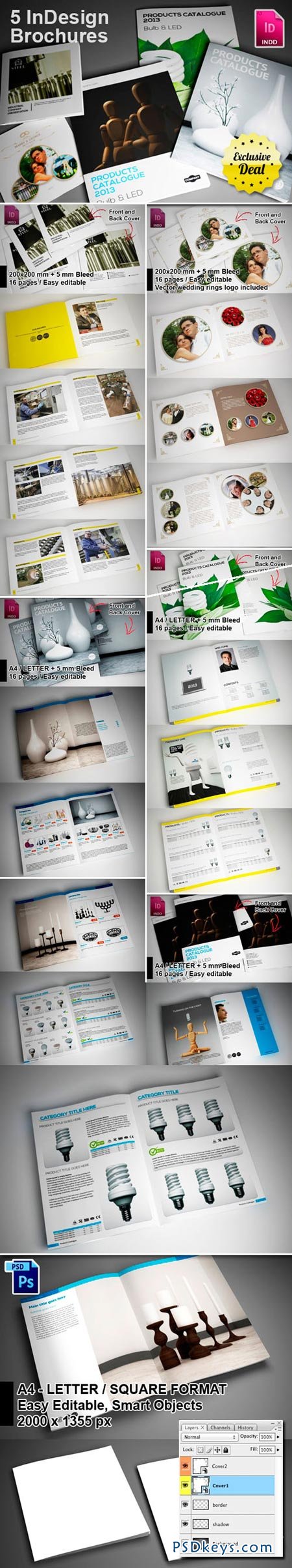 5 InDesign Brochure Templates