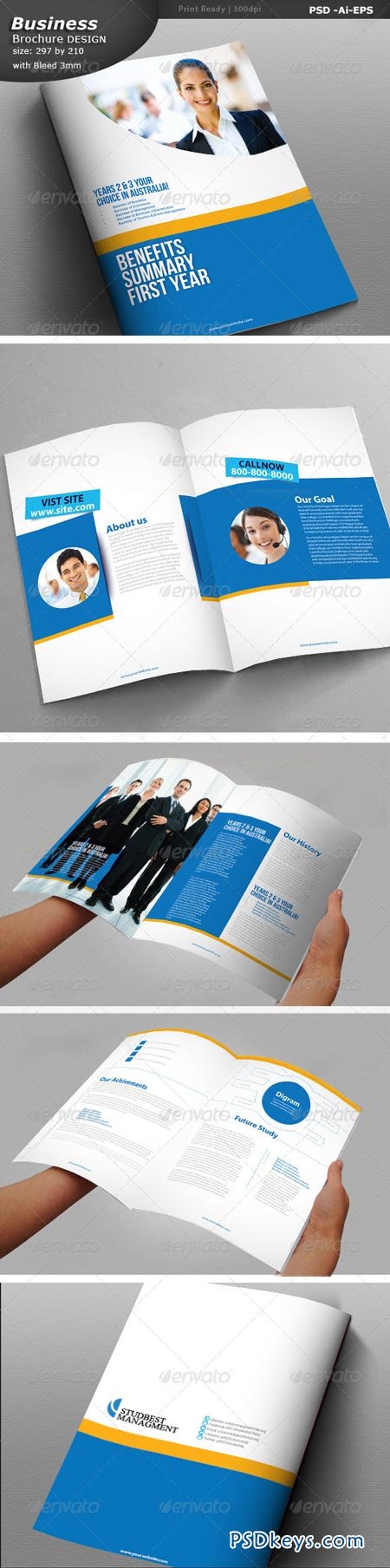 Business Brochure Design 6913055