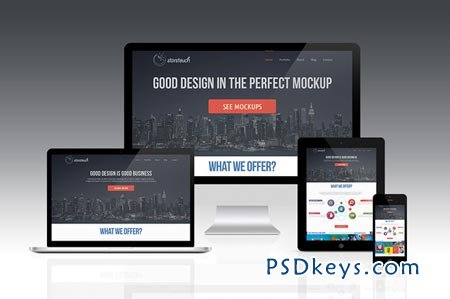 Responsive Screen Mockup 31272