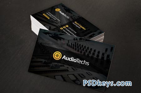 Audio Engineer Business Cards + Logo 7357