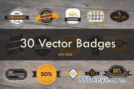 30 Vector Badges 21411