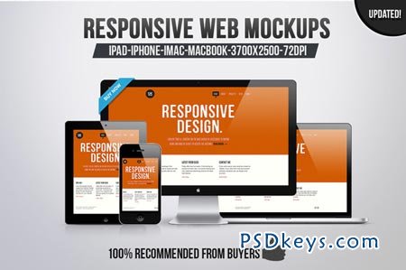 12 Responsive Web Mockups 6446