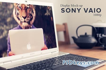 Sony Vaio HD Display Mockup 29256