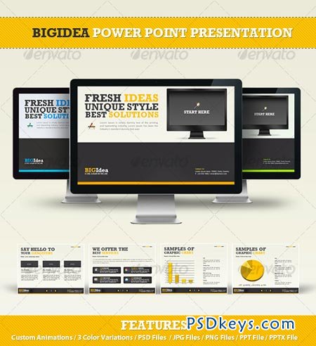 BIGIdea Power Point Presentation 104655