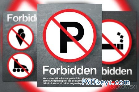 Forbidden Flyer 41266