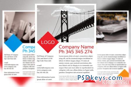 Company Flyer 39269