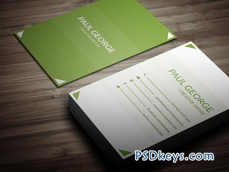 Simple Green Corporate Business Card 39490