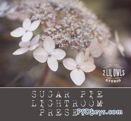 LR Presets Sugar Pie 15675