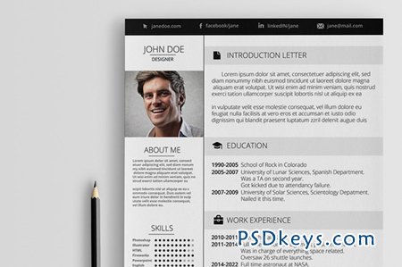 Elegant Resume 43109