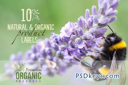 10 Natural & Organic Product Labels 44031