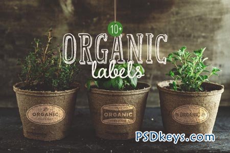 10+ Organic Labels 44030