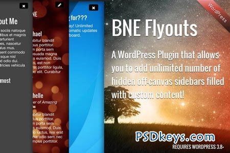 Flyout Custom Content for WordPress 32925