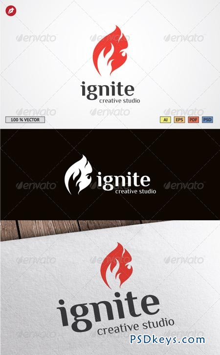 Ignite Logo Template 4436203