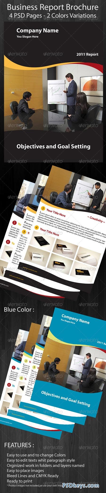 Business Brochure Report 158697