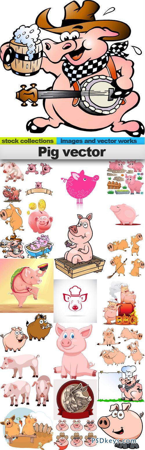 Pig vector 25xEPS