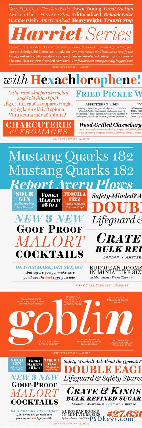 Harriet Font Family - 20 Fonts for $400