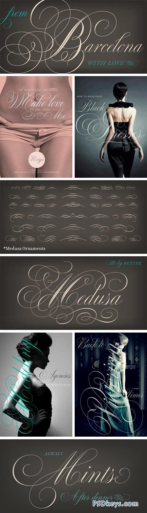 Medusa Font Family - 2 Fonts for $120
