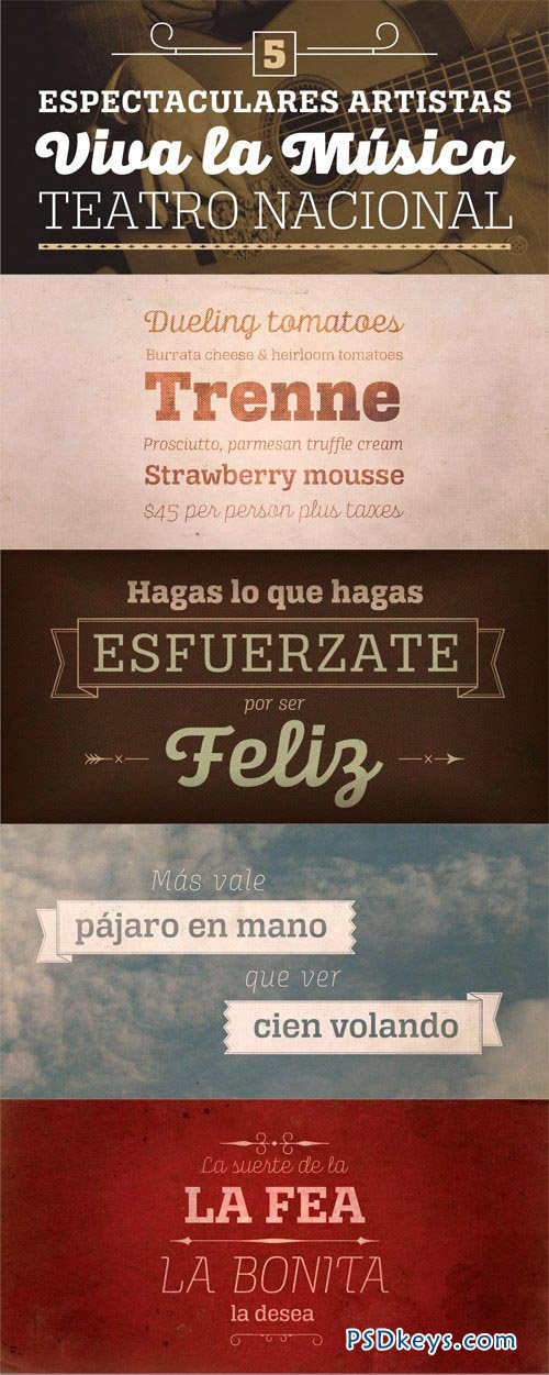 Alianza Font Family - 30 Fonts for $380!