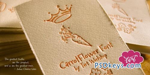Carrotflower Font Family - 4 Fonts for $30
