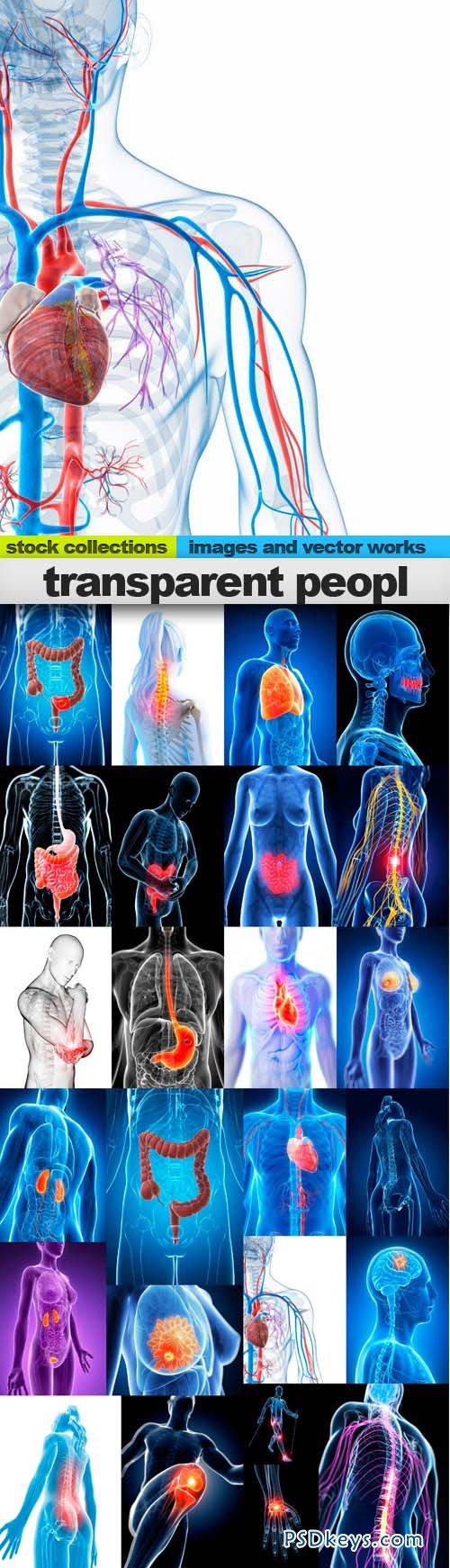 Transparent people 25xUHQ JPEG