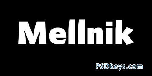 Mellnik Font Family - 14 Fonts for $210