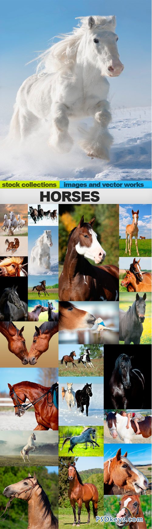 Horses 25xUHQ JPEG