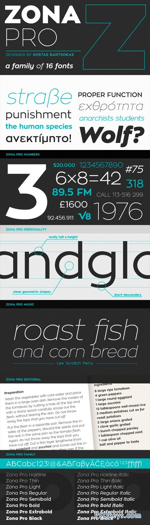 Zona Pro Font Family - 16 Fonts for $49