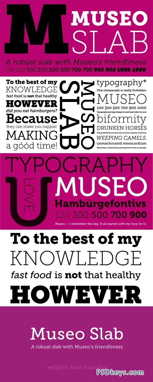 Museo Slab Font Family - 12 Fonts for $99
