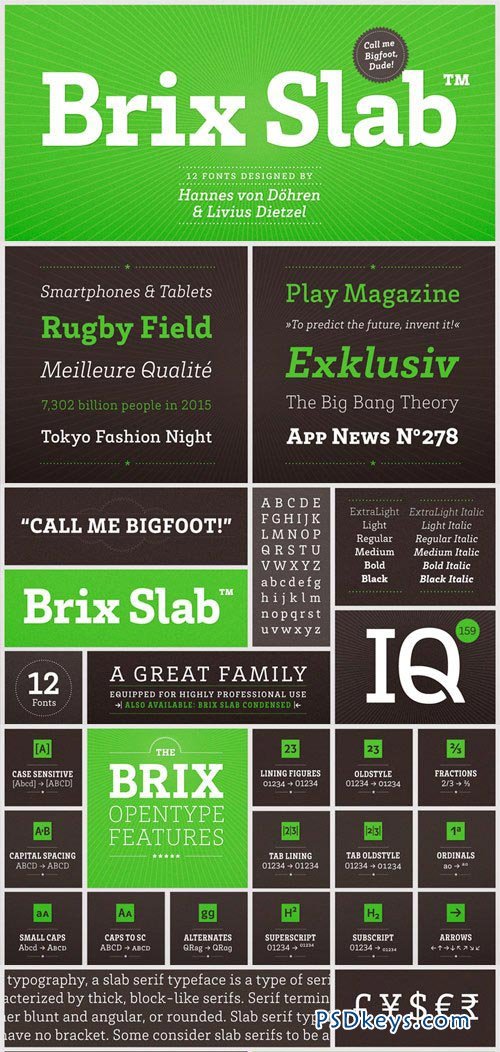 Brix Slab Font Family - 12 Fonts for $250
