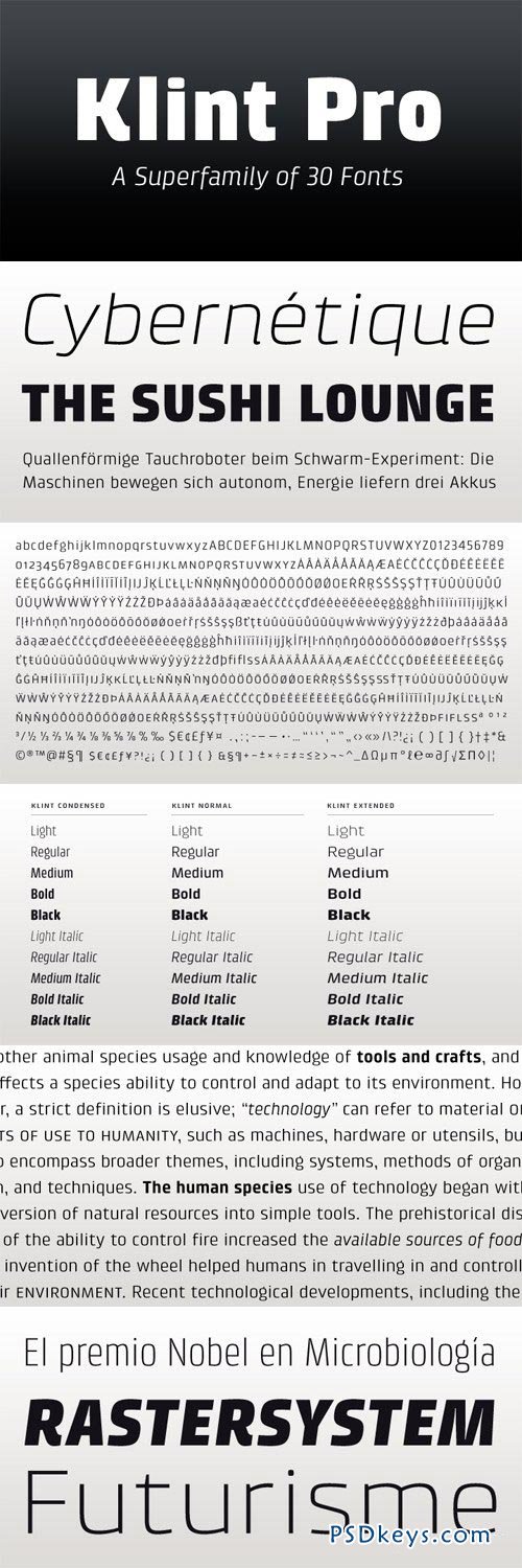 Klint Font Family - 29 Fonts for $1885