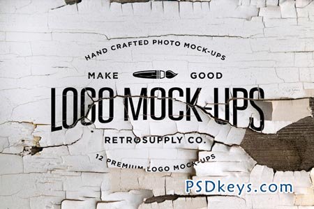 12 Vintage Logo Mock-ups 29920
