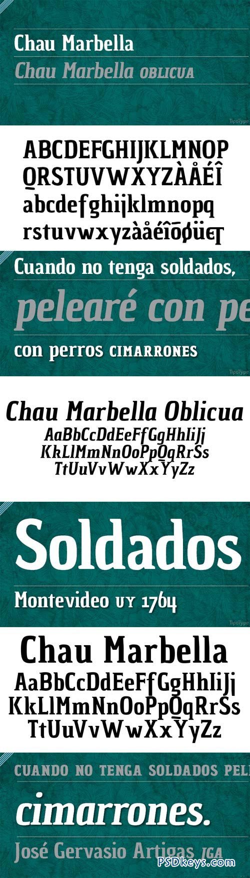Chau Marbella Font Family - 2 Fonts for $20