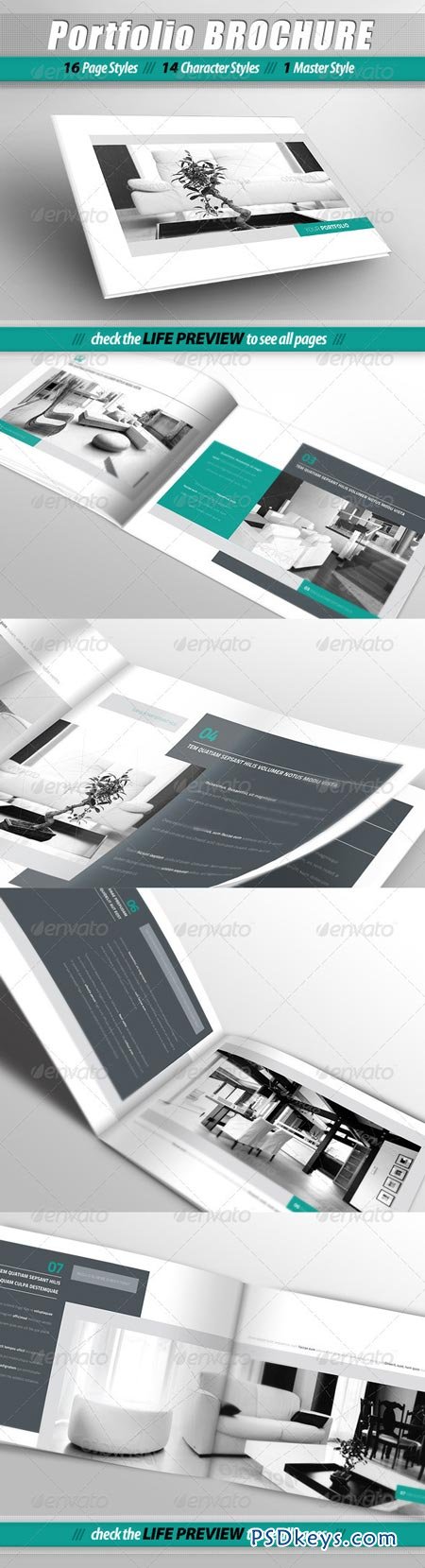 Portfolio Brochure 2779189