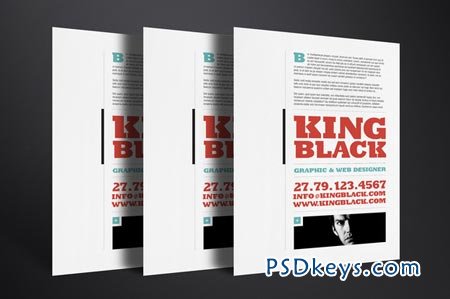 King Black Resume Template 10710