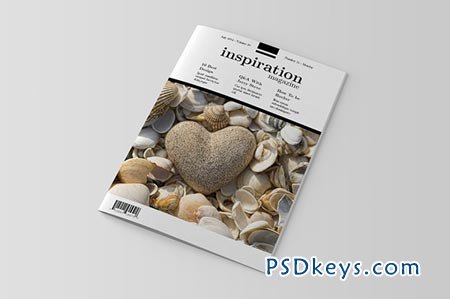 InDesign Magazine Template 20290