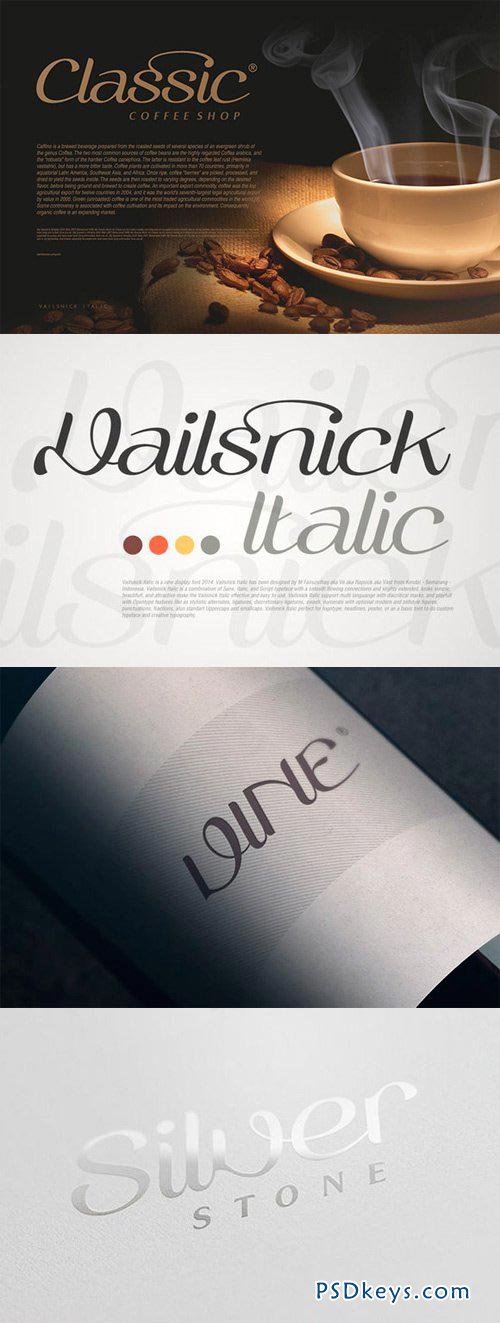 Vailsnick Italic Font for $30