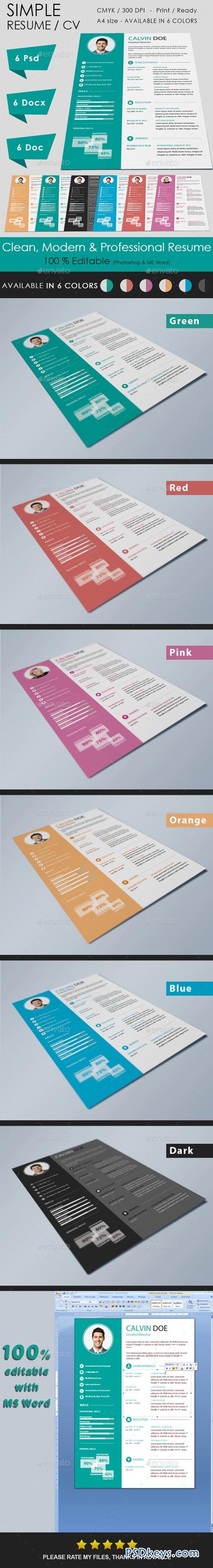 Simple Resume 9008743