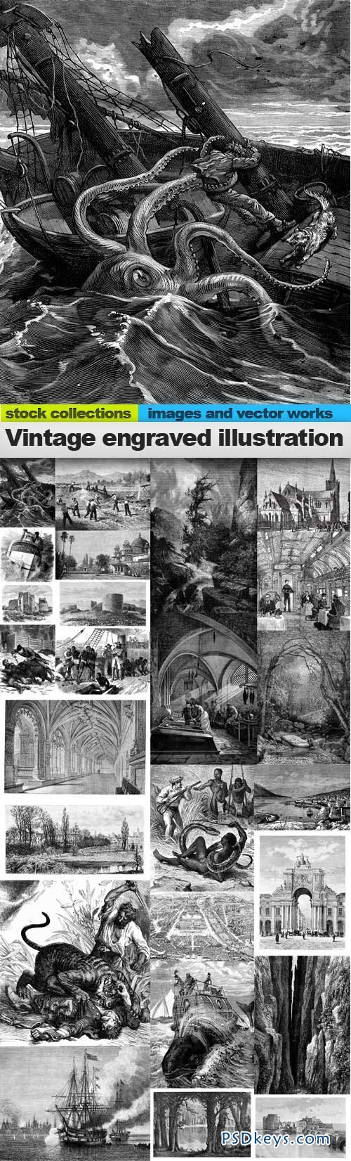Vintage engraved illustration images 25xUHQ JPEG