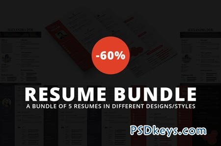 Premium Resume Bundle -60% OFF 89093