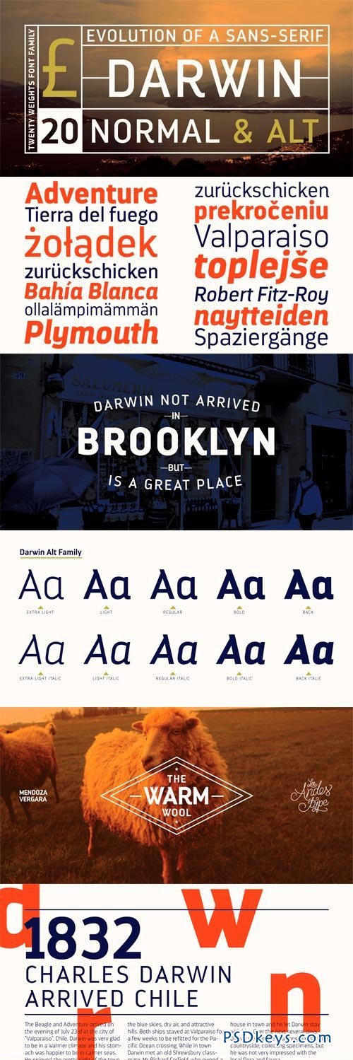 Darwin Font Family - 20 Fonts for $159