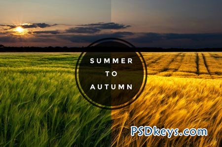 Autumn and Summer Actions 91856