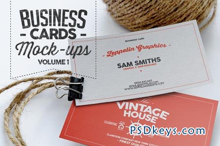 Business Card Mock-ups Vol.1 45258