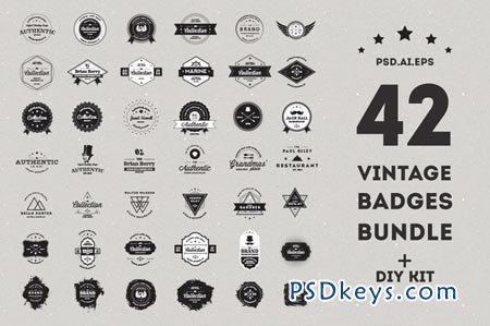 Vintage Badges Bundle - 50% off 37291